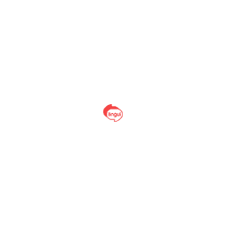 Lingui i18n